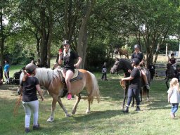 IMG_1316_web
